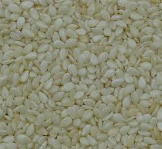 Manufacturers Exporters and Wholesale Suppliers of Sesame seeds Gandhidham Gujarat